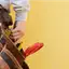 Handyman repair service in Dayton, OH for home fixes and improvements